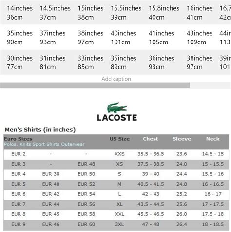 lacoste sizes guide.